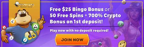 free cyber bingo bonus code.